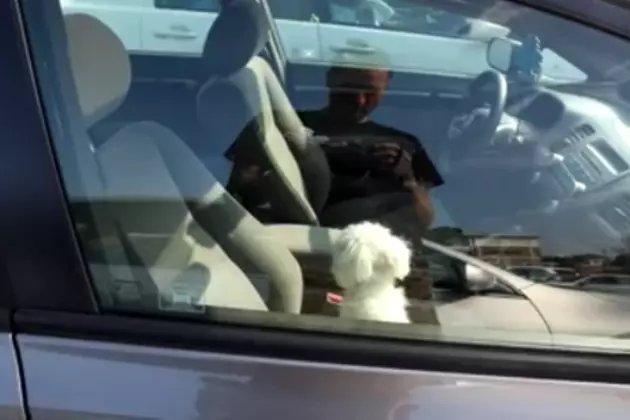 Would You Call The Police For a Dog? Would You Call The Police For a Dog?