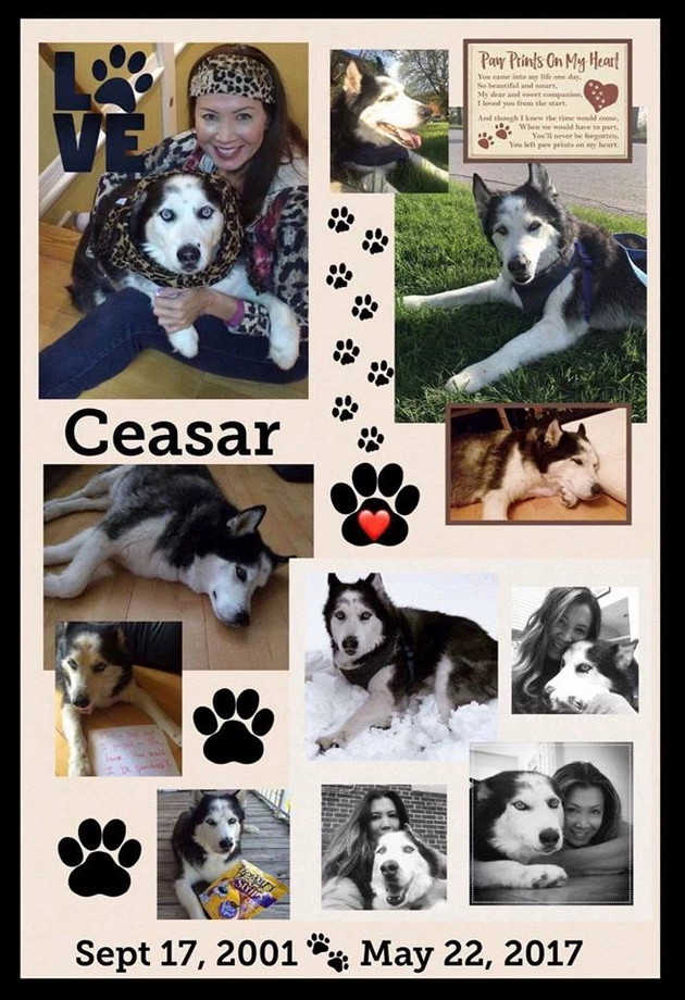 (Designed By Kim Heberts) (Photo Credit: Nikki Cruz)
