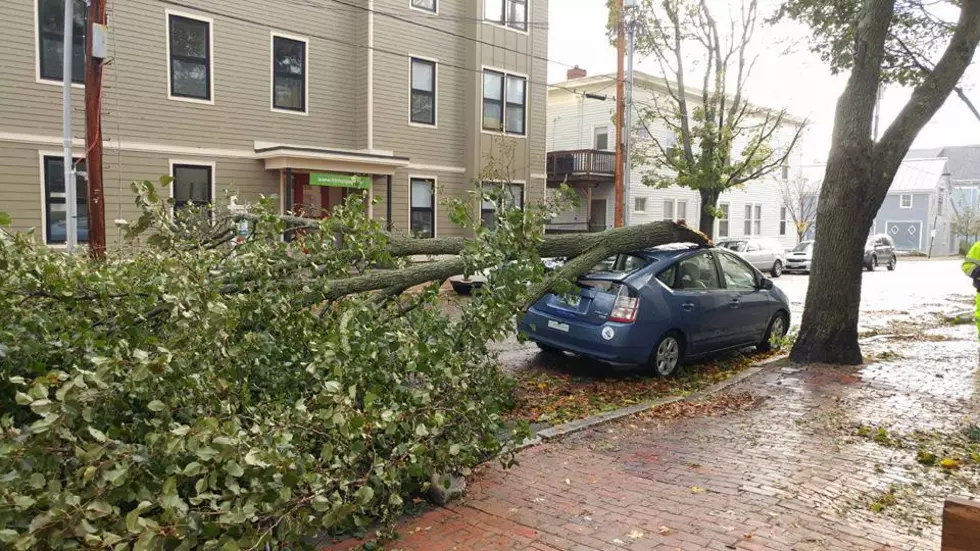 See Pictures Of The Storm Damage In Maine & New Hampshire