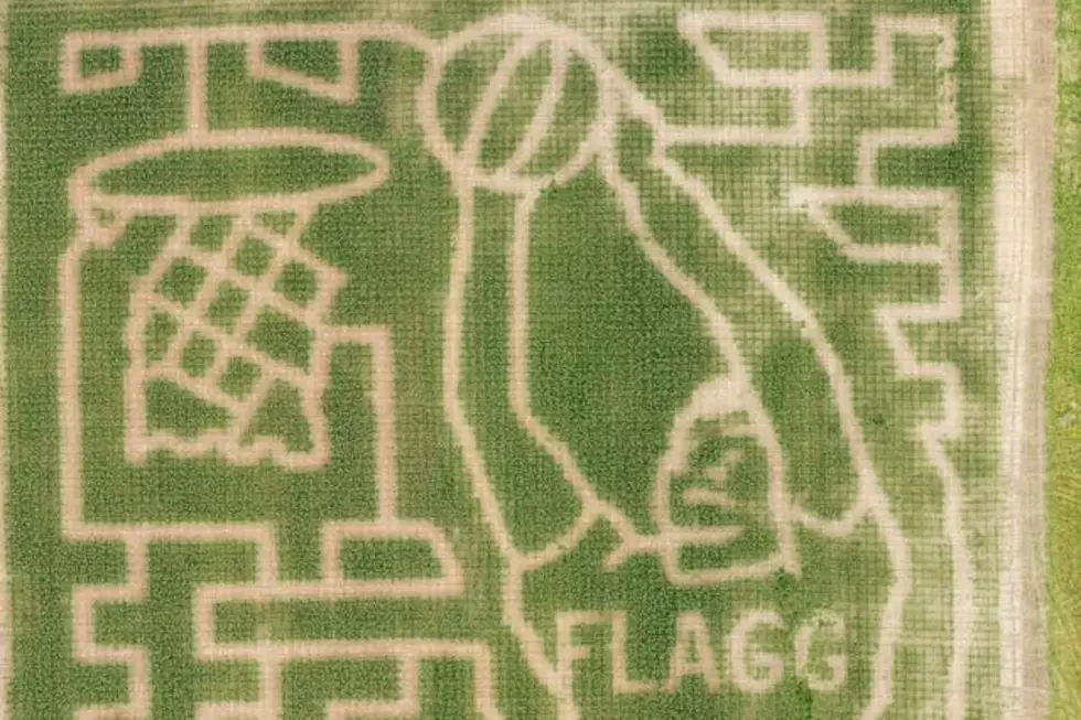 Cooper Flagg Maze Unveiled at Maine&CloseCurlyQuote;s Iconic Thunder Road Farm
